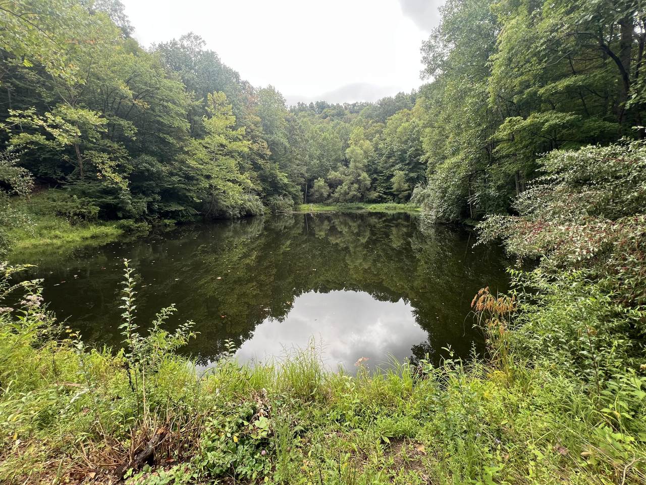 https://bt-photos.global.ssl.fastly.net/lexington/1280_boomver_1_20250930035007115269000000-2.jpg