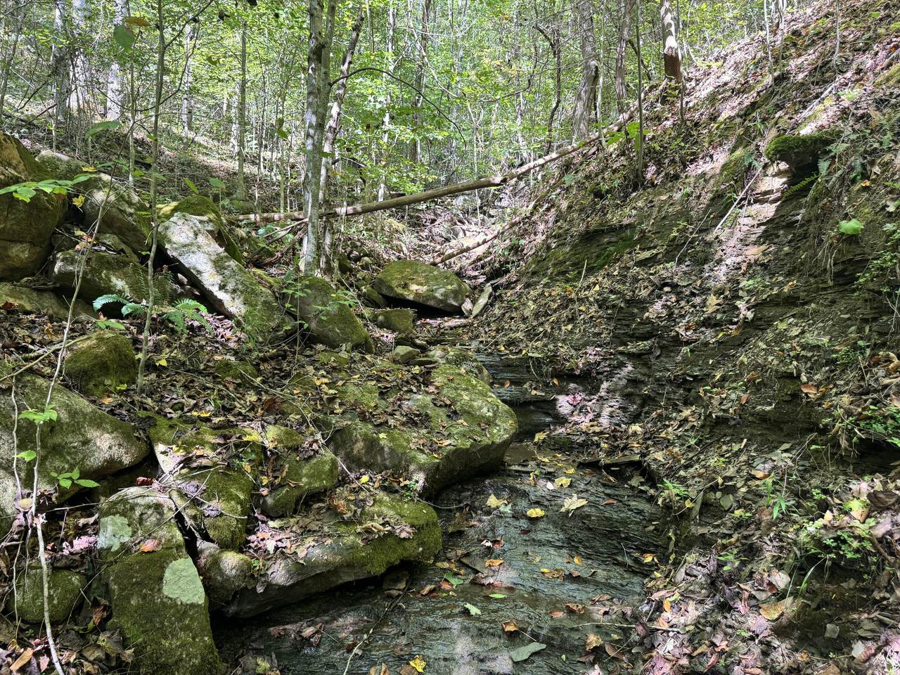 https://bt-photos.global.ssl.fastly.net/lexington/1280_boomver_1_20251012182835701508000000-2.jpg