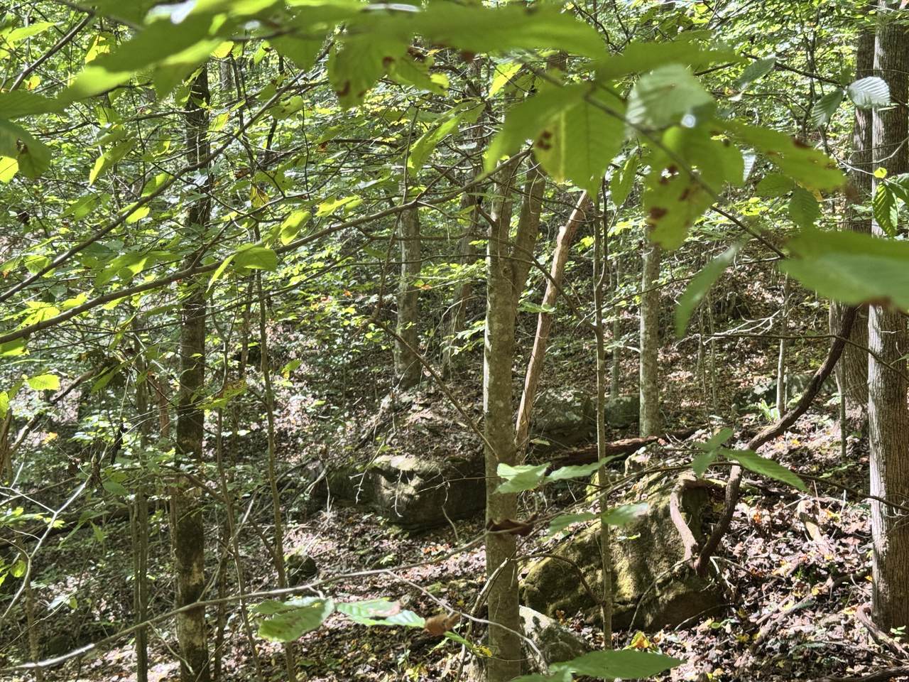 https://bt-photos.global.ssl.fastly.net/lexington/1280_boomver_1_20251012182835701508000000-2.jpg