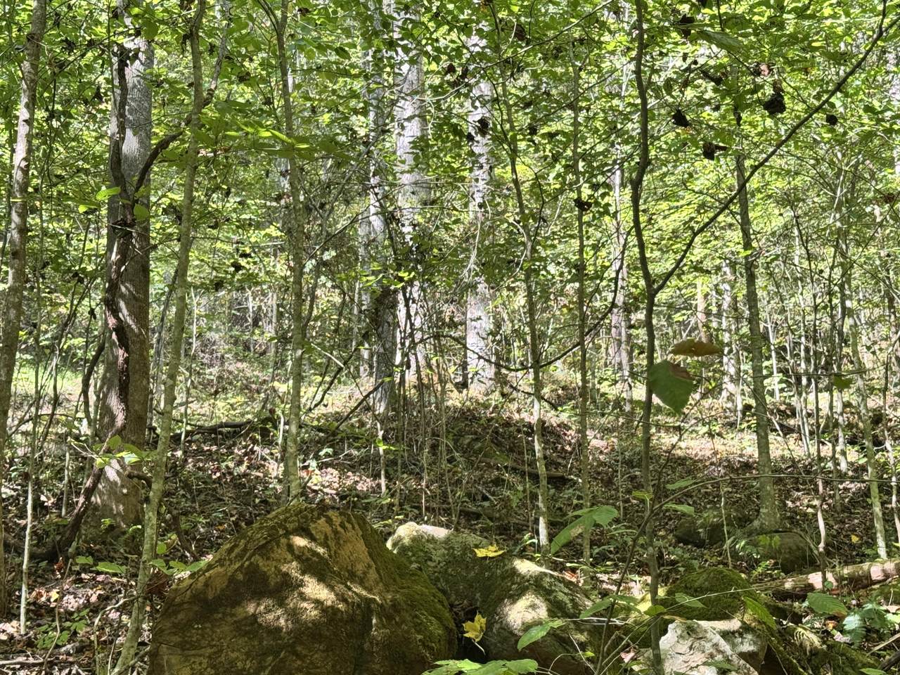 https://bt-photos.global.ssl.fastly.net/lexington/1280_boomver_1_20251012191145064498000000-2.jpg