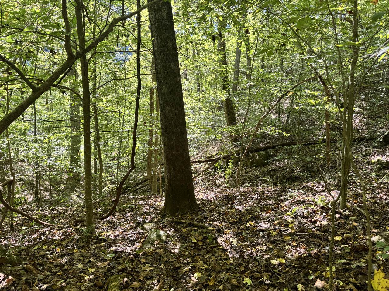 https://bt-photos.global.ssl.fastly.net/lexington/1280_boomver_1_20251012191145064498000000-2.jpg
