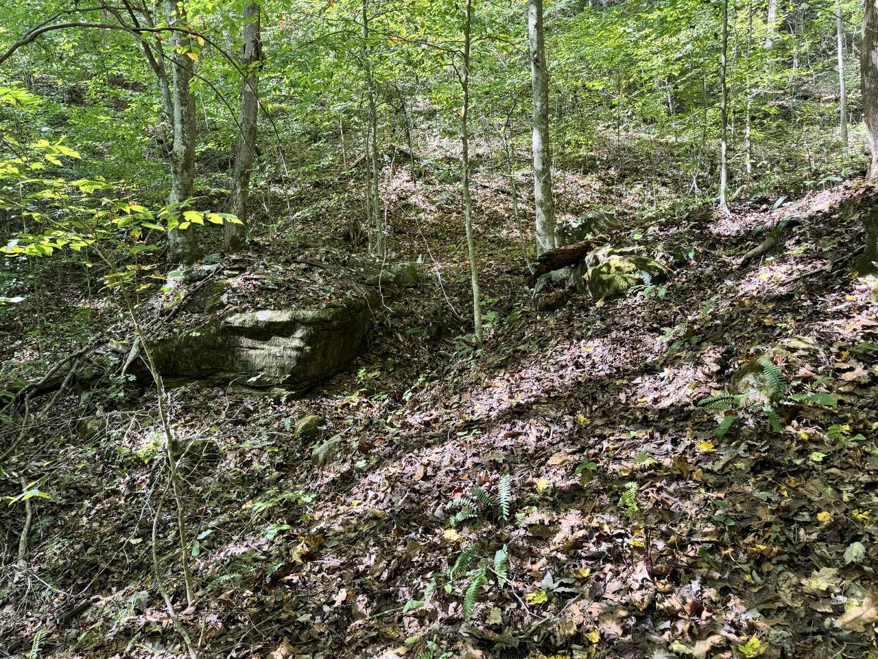 https://bt-photos.global.ssl.fastly.net/lexington/1280_boomver_1_20251012191145064498000000-2.jpg