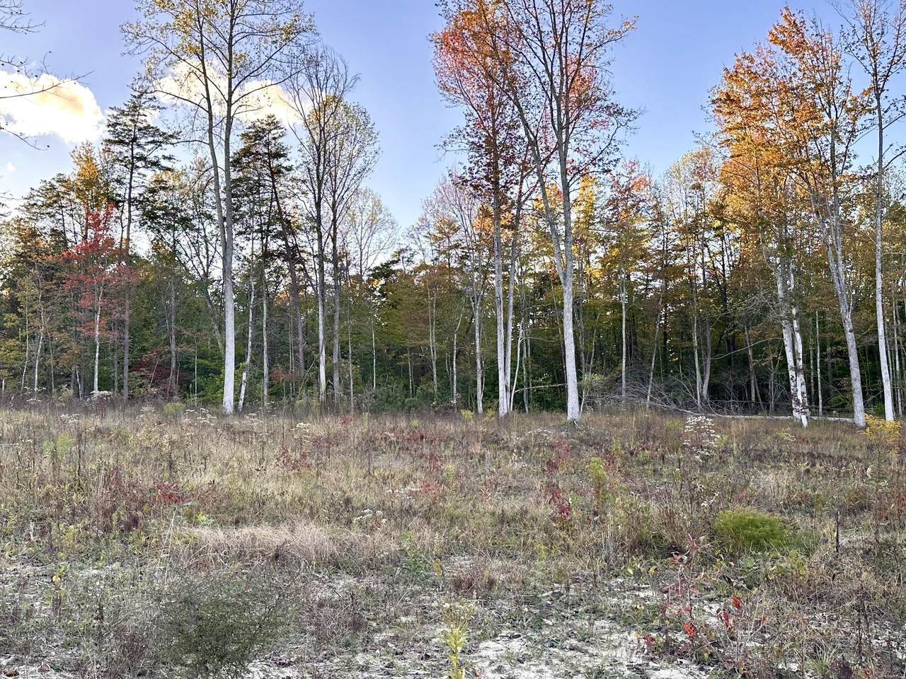 1105 Pendleton Branch Road - Photo 1