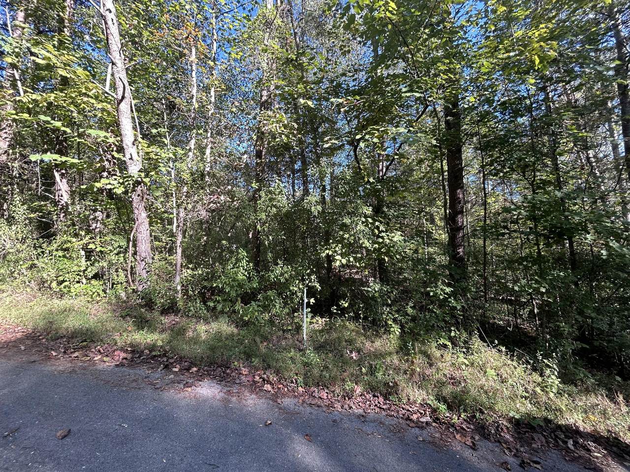120 Saxony Court - Photo 1