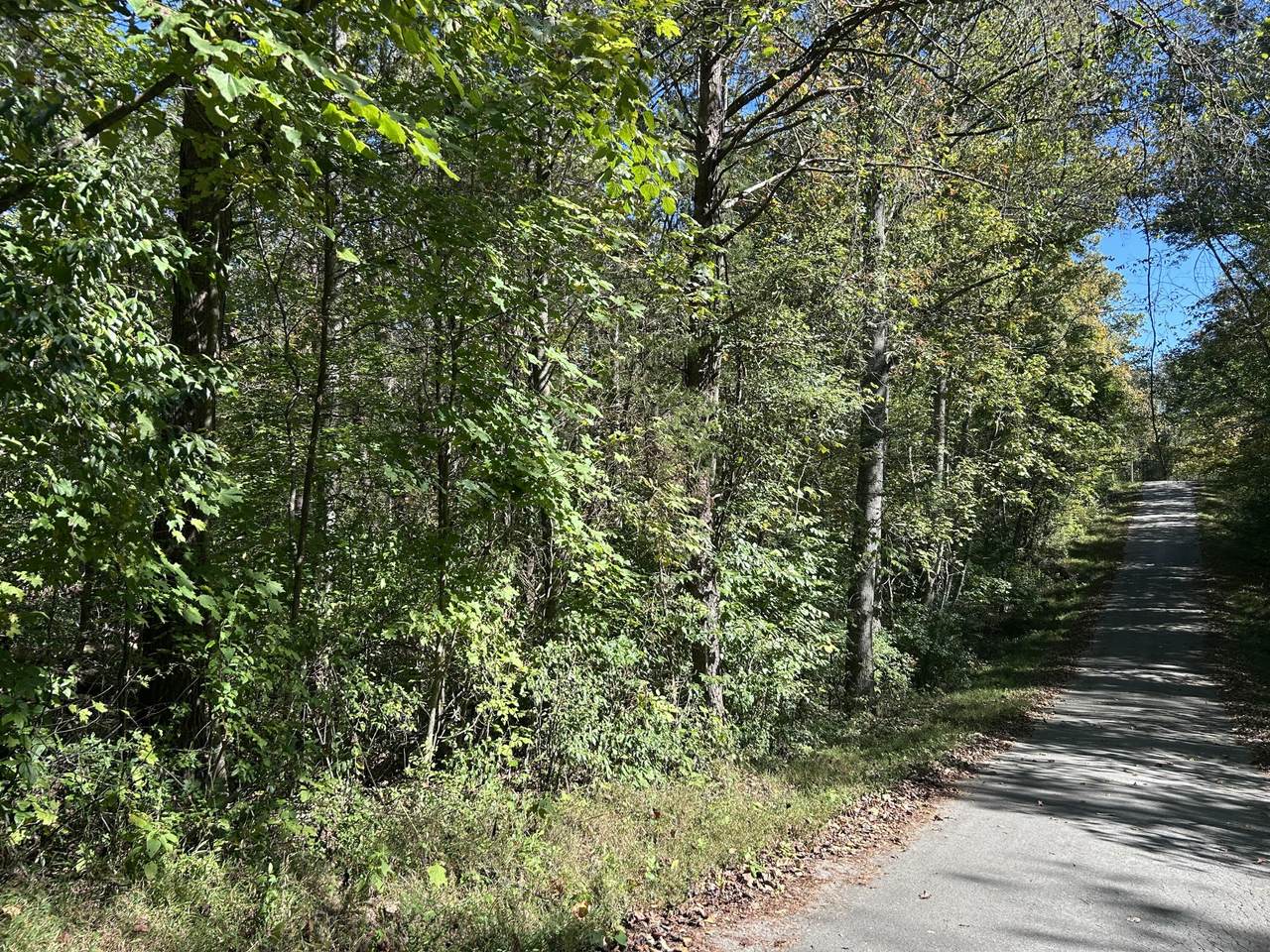 https://bt-photos.global.ssl.fastly.net/lexington/1280_boomver_1_20251017150628380193000000-2.jpg