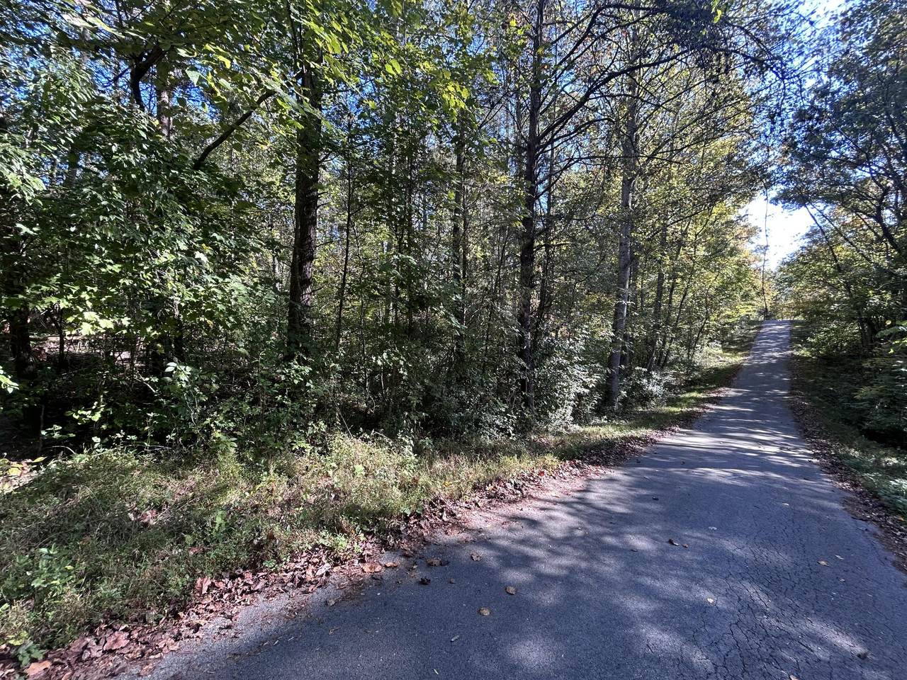 https://bt-photos.global.ssl.fastly.net/lexington/1280_boomver_1_20251017150628380193000000-2.jpg