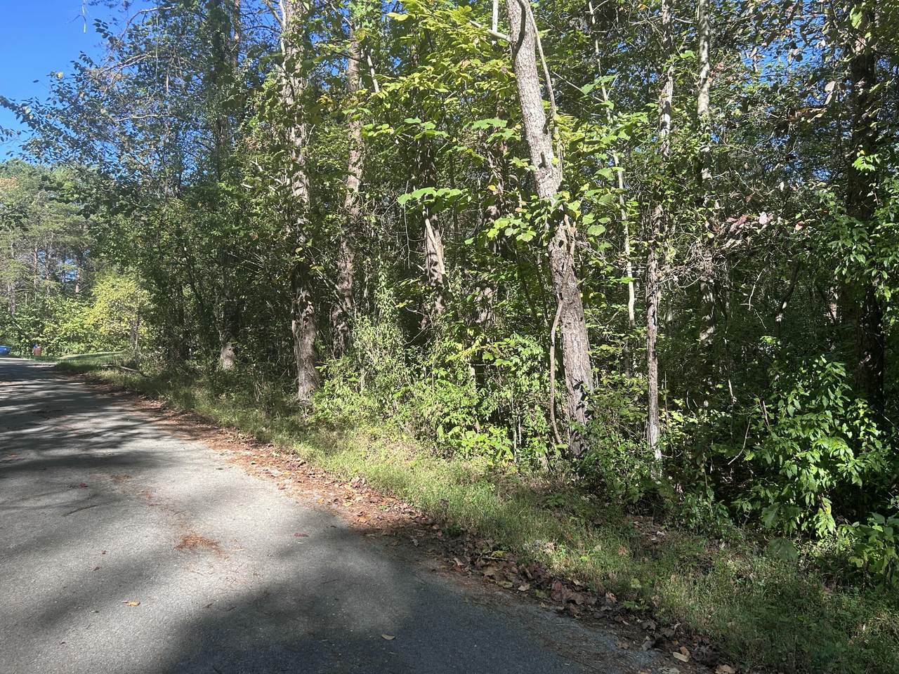 https://bt-photos.global.ssl.fastly.net/lexington/1280_boomver_1_20251017150628380193000000-2.jpg
