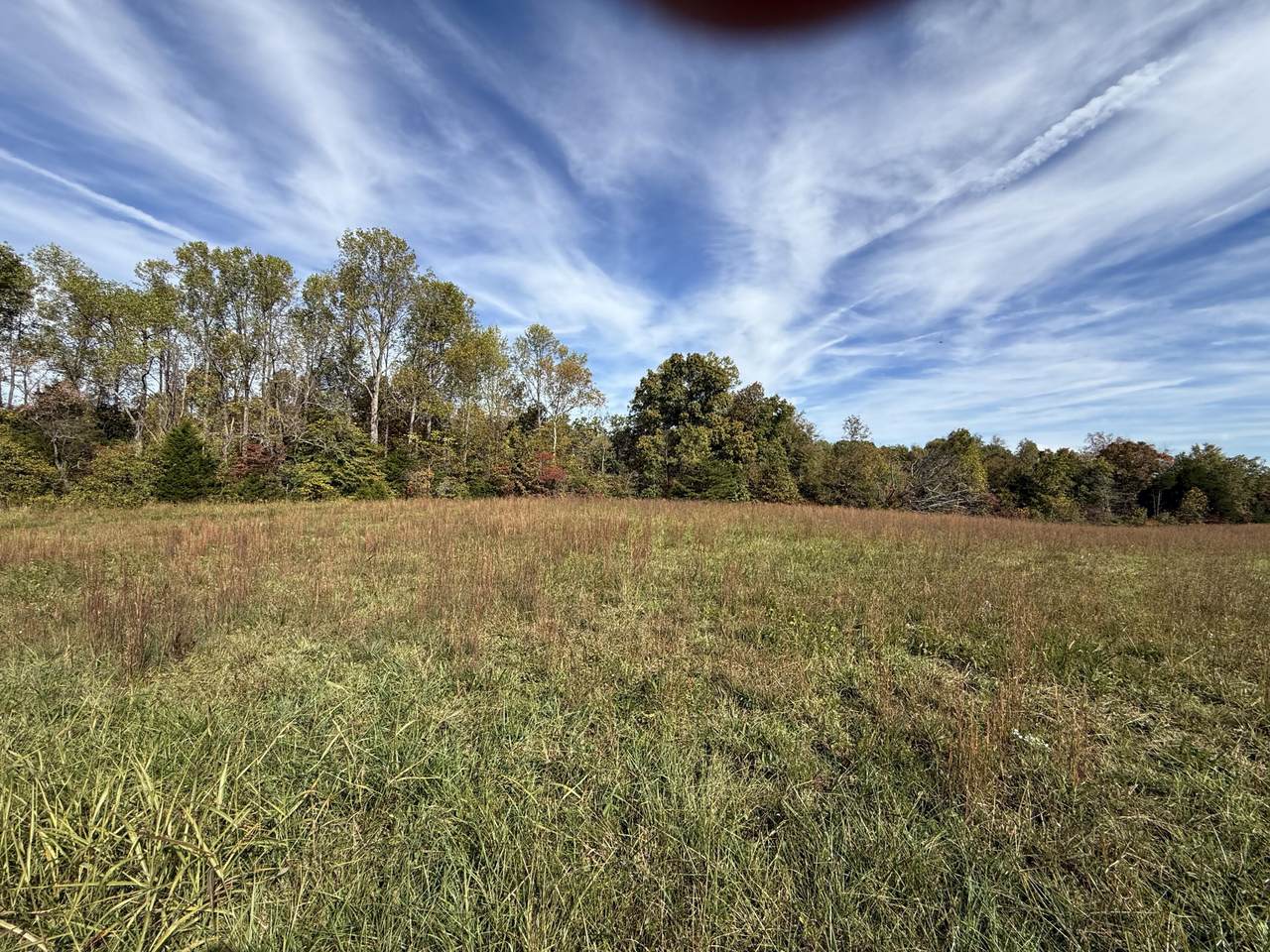 1660 Crocus Road - Photo 1