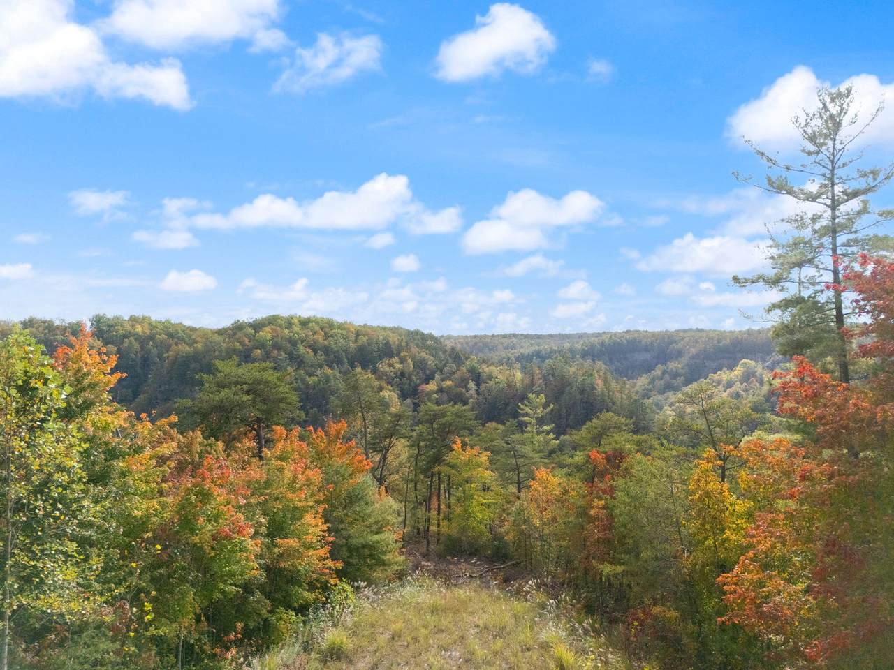 https://bt-photos.global.ssl.fastly.net/lexington/1280_boomver_1_20251019015340295120000000-2.jpg