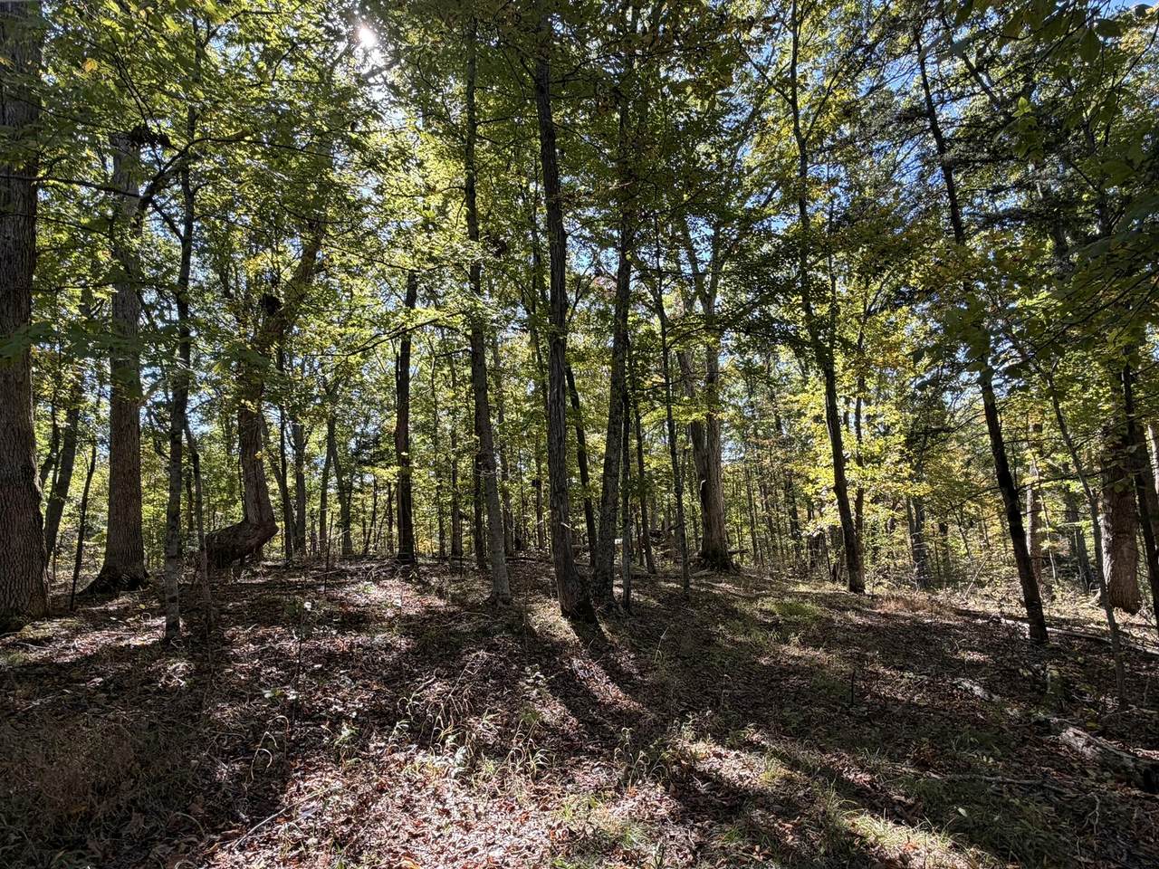 156.78 ACS Buntain School Road - Photo 1