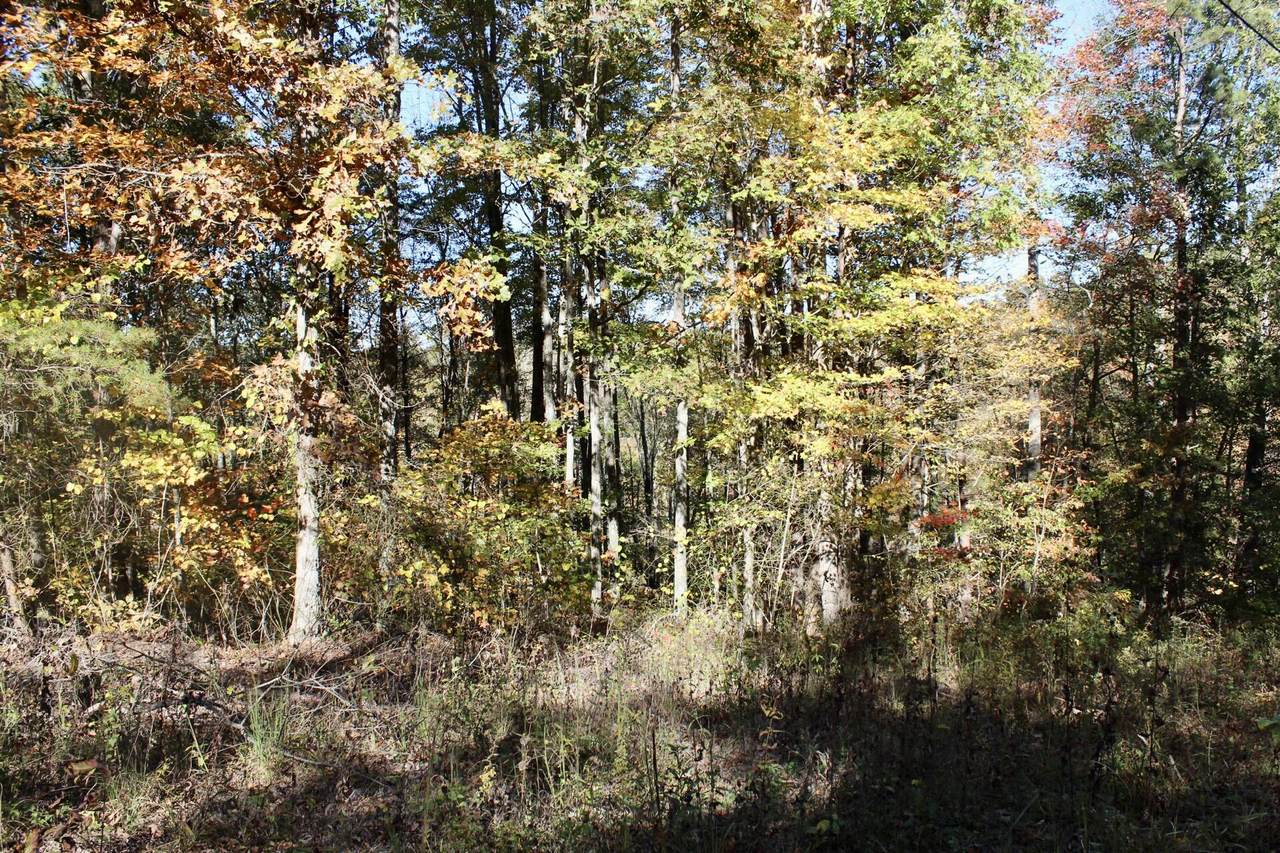 https://bt-photos.global.ssl.fastly.net/lexington/1280_boomver_1_20251021131119300540000000-2.jpg