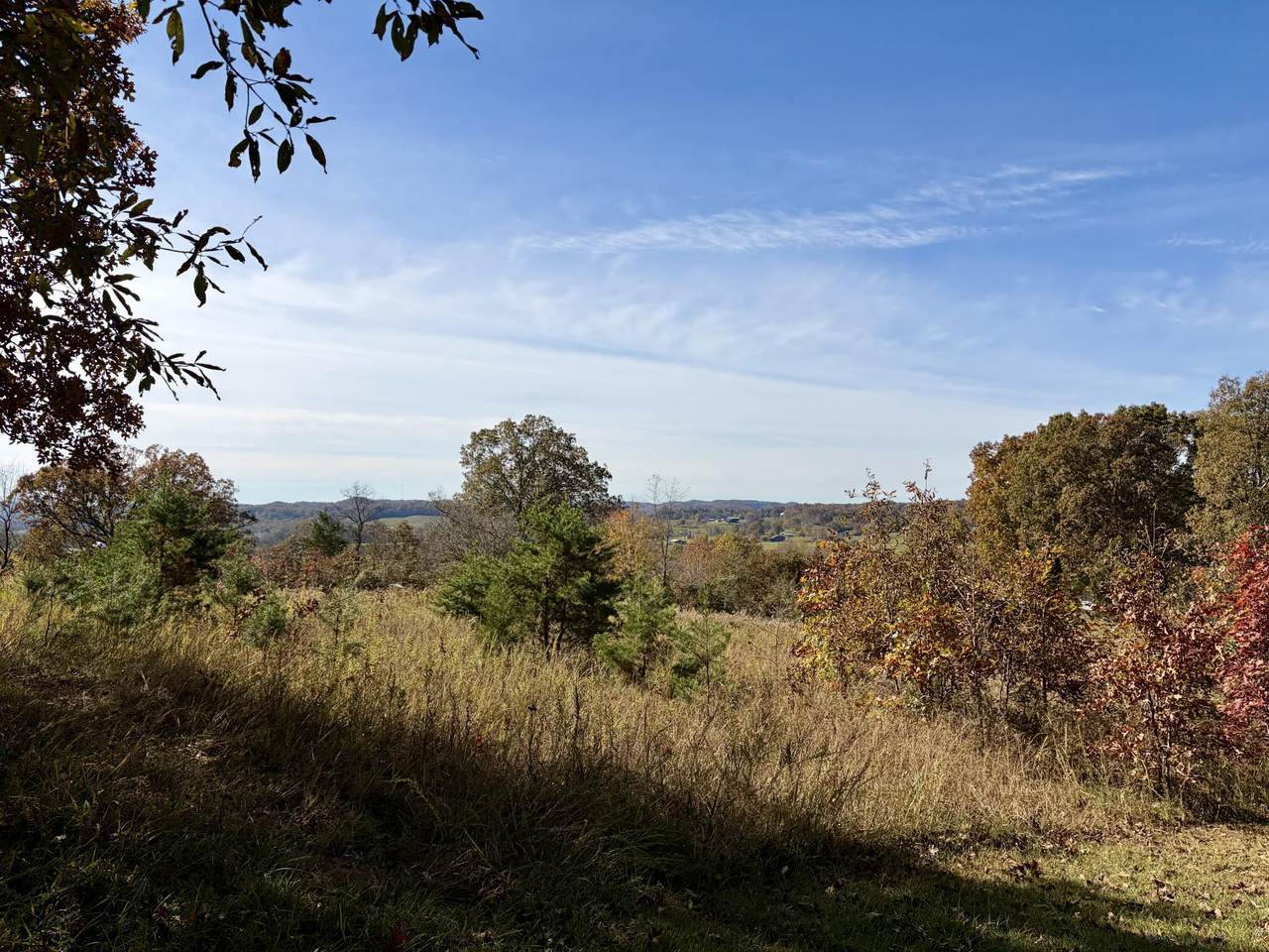182 Robert Morris Road - Photo 1