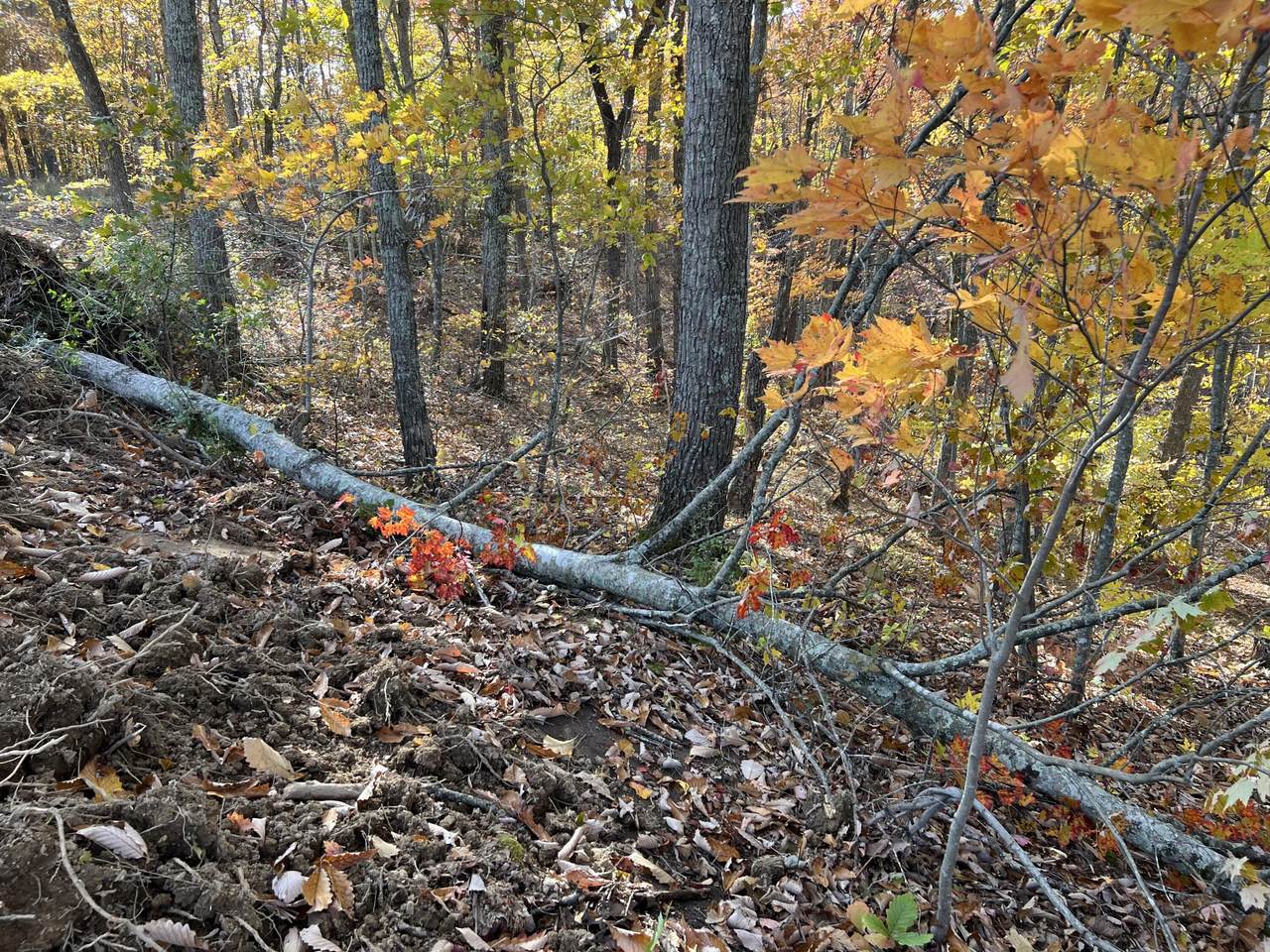 https://bt-photos.global.ssl.fastly.net/lexington/1280_boomver_1_20251106010353755824000000-2.jpg