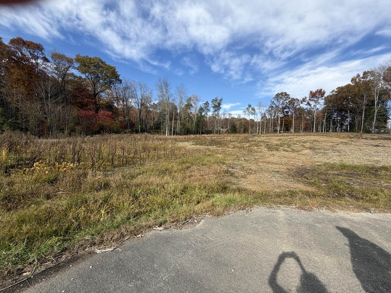 Lots 6 & 7 Winwood Trail - Photo 1