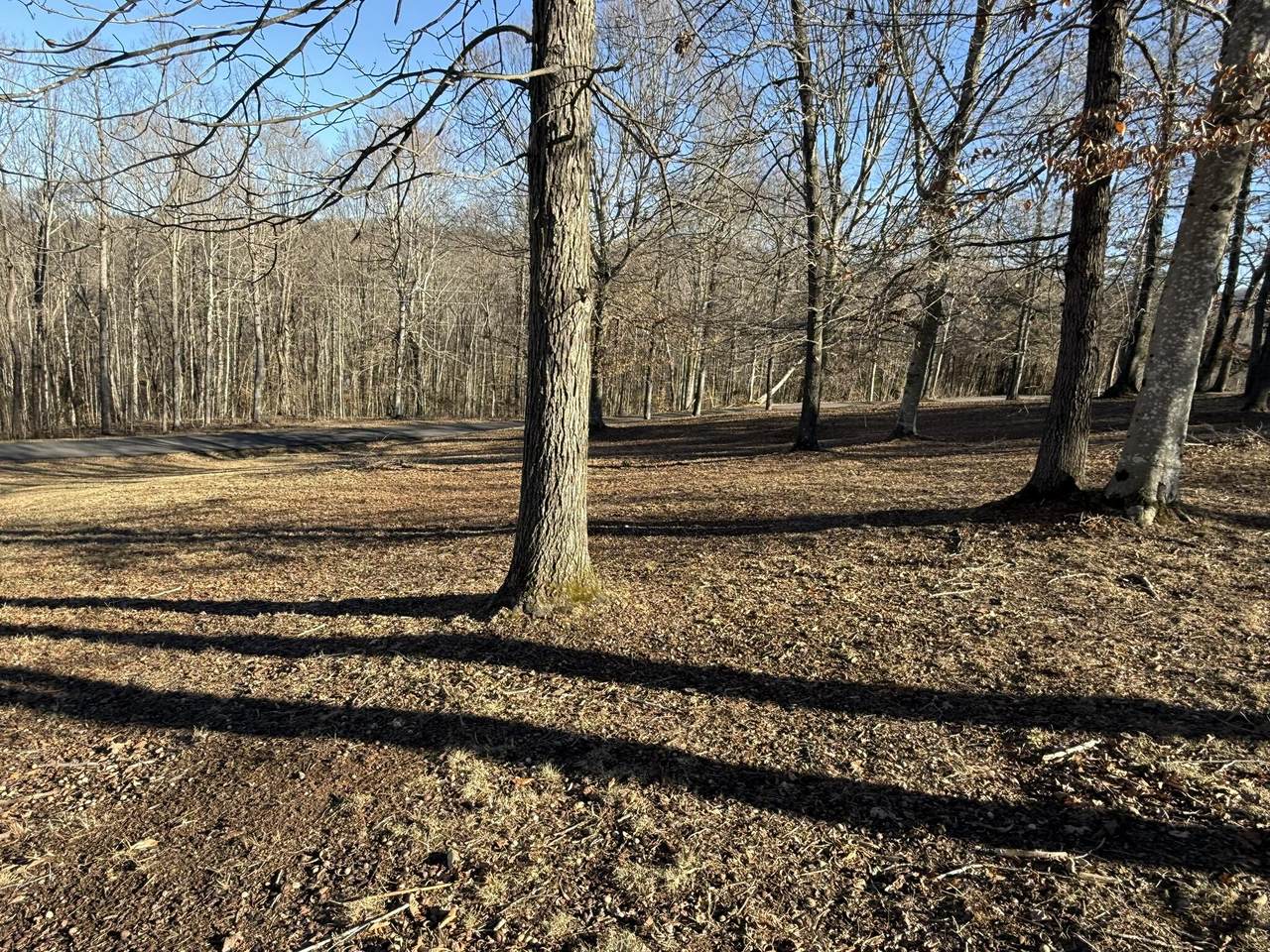 https://bt-photos.global.ssl.fastly.net/lexington/1280_boomver_1_20260211190438052458000000-2.jpg