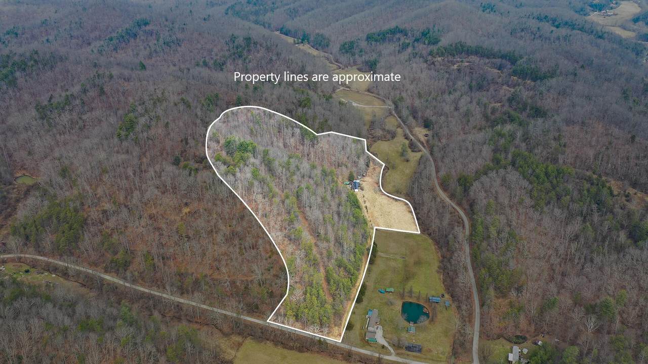 46 Tom Rose Branch Road - Photo 1