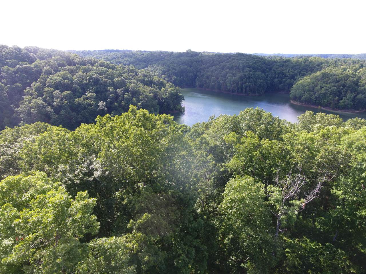 https://bt-photos.global.ssl.fastly.net/lexington/1280_boomver_1_20260225184909519641000000-2.jpg