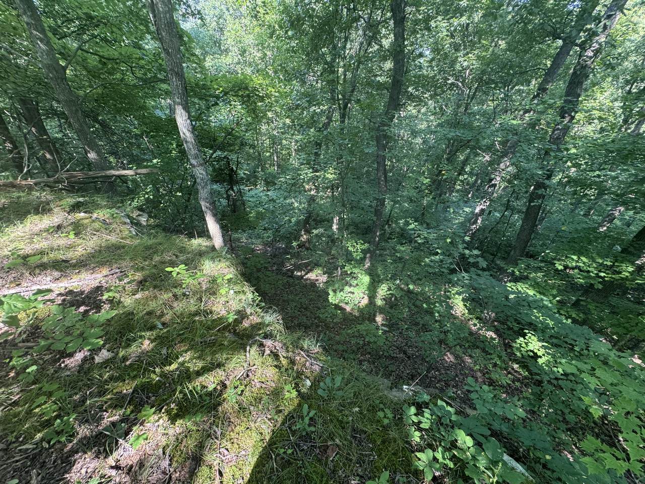 https://bt-photos.global.ssl.fastly.net/lexington/1280_boomver_1_20260225201152698432000000-2.jpg