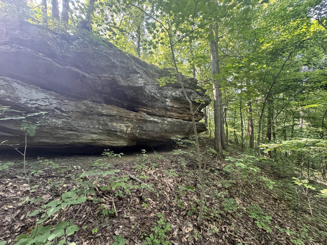 https://bt-photos.global.ssl.fastly.net/lexington/1280_boomver_1_20260225201152698432000000-2.jpg