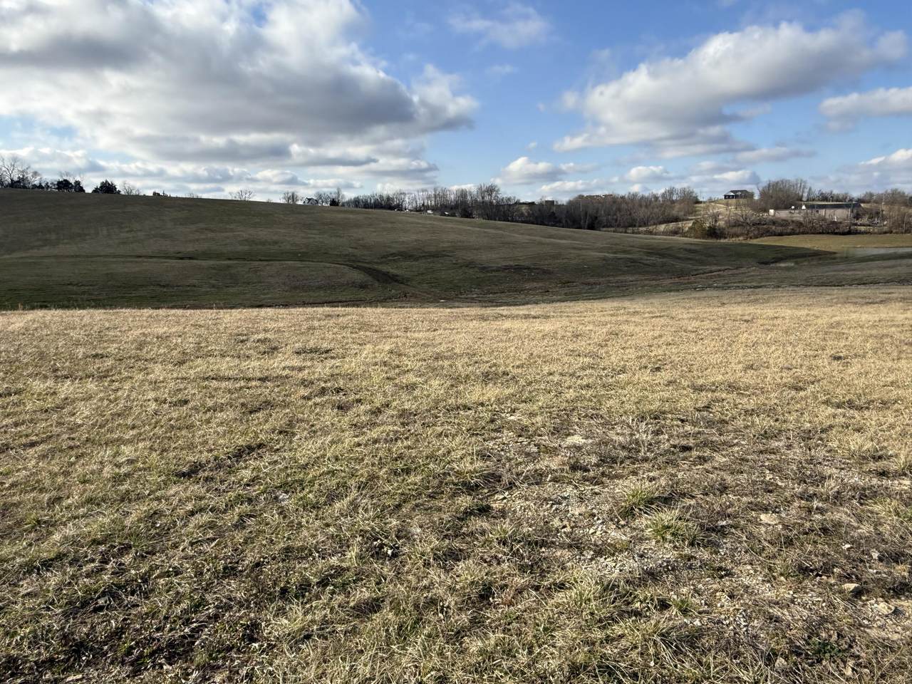 Lot 177 Thorntree Lane - Photo 1