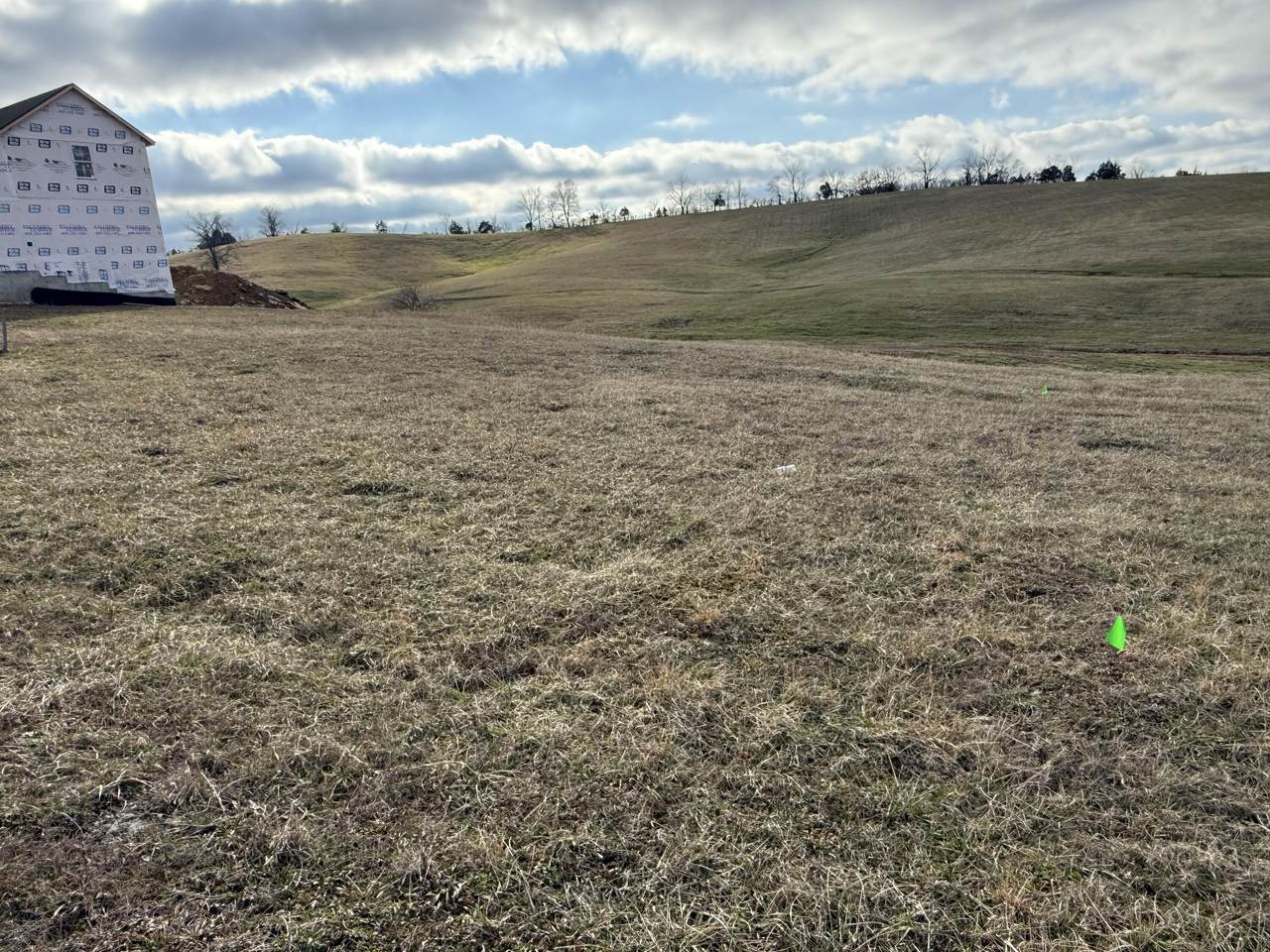 https://bt-photos.global.ssl.fastly.net/lexington/1280_boomver_1_20260226153629641206000000-2.jpg