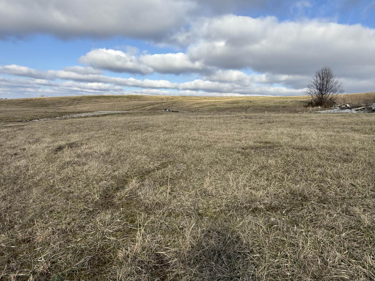 Lot 178 Thorntree Lane - Photo 1