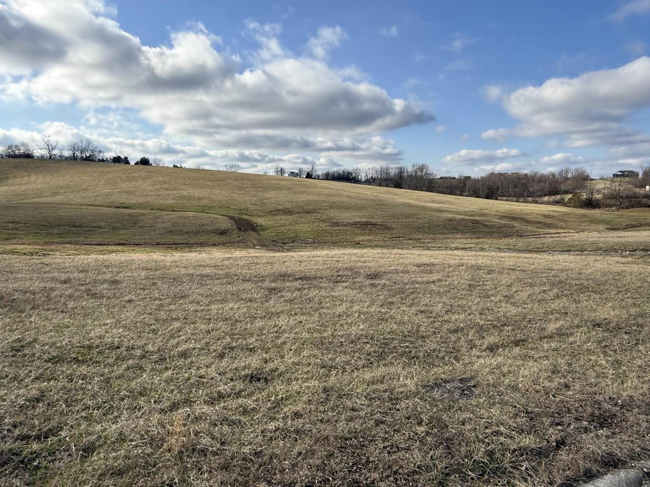 https://bt-photos.global.ssl.fastly.net/lexington/1280_boomver_1_20260226194304963221000000-2.jpg