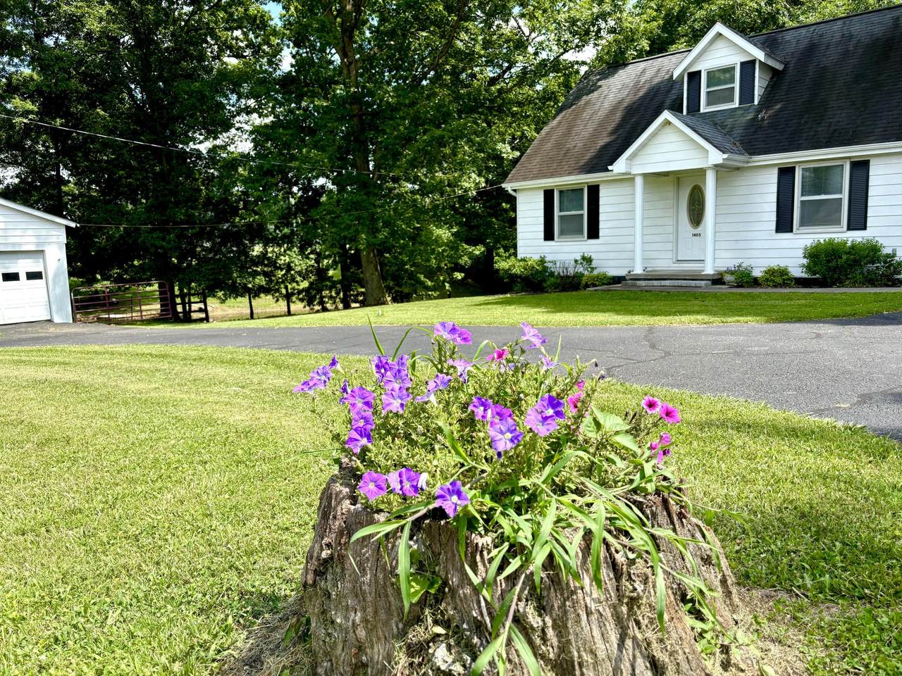 https://bt-photos.global.ssl.fastly.net/lexington/1280_boomver_1_20260303181303722759000000-2.jpg