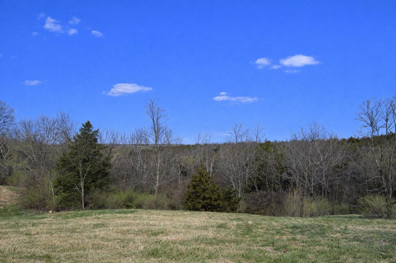 https://bt-photos.global.ssl.fastly.net/lexington/1280_boomver_1_20260305201126482293000000-2.jpg