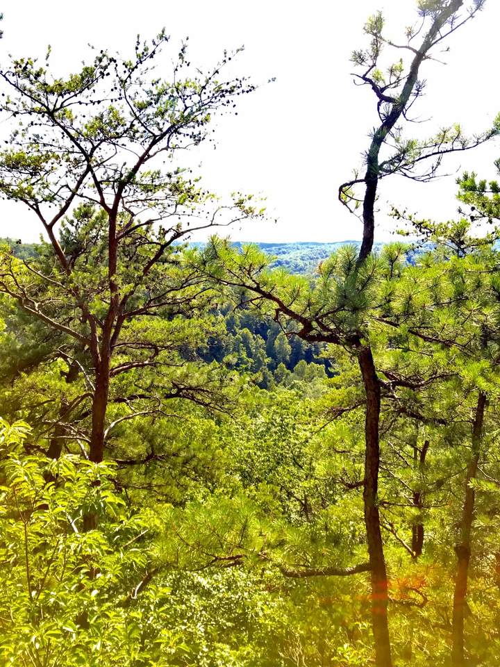 0 Fork Road - Photo 1