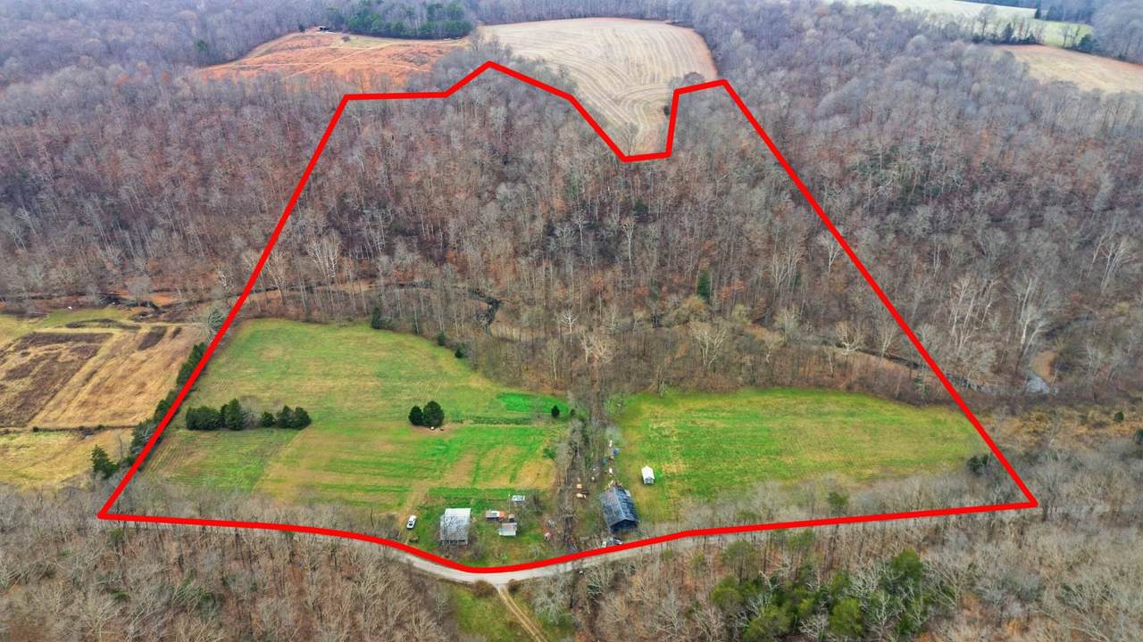 1666 Pointer Creek Road - Photo 1