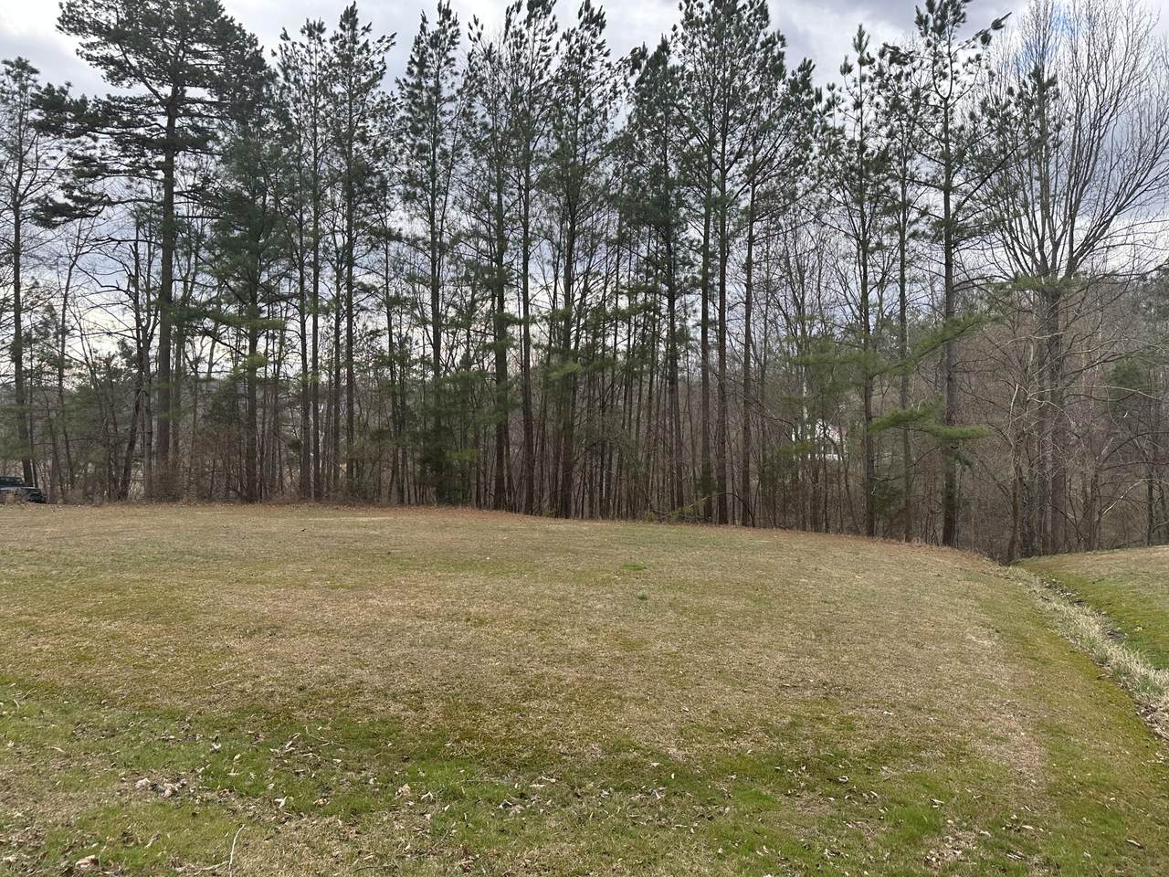 https://bt-photos.global.ssl.fastly.net/lexington/1280_boomver_1_20260306185737243167000000-2.jpg