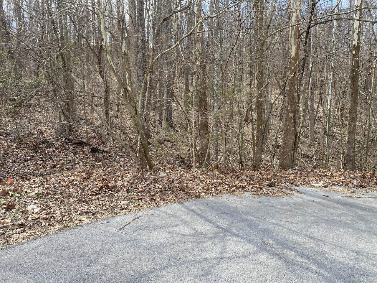 https://bt-photos.global.ssl.fastly.net/lexington/orig_boomver_1_20260309163057666486000000-2.jpg