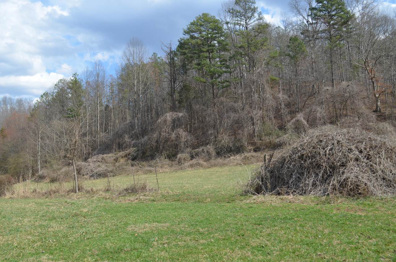 https://bt-photos.global.ssl.fastly.net/lexington/1280_boomver_1_20260309202136888236000000-2.jpg