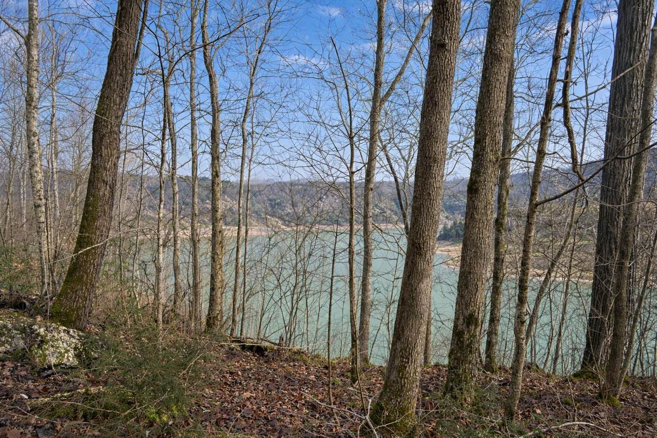 Lot 1 Lower Turkey Creek Road - Photo 1