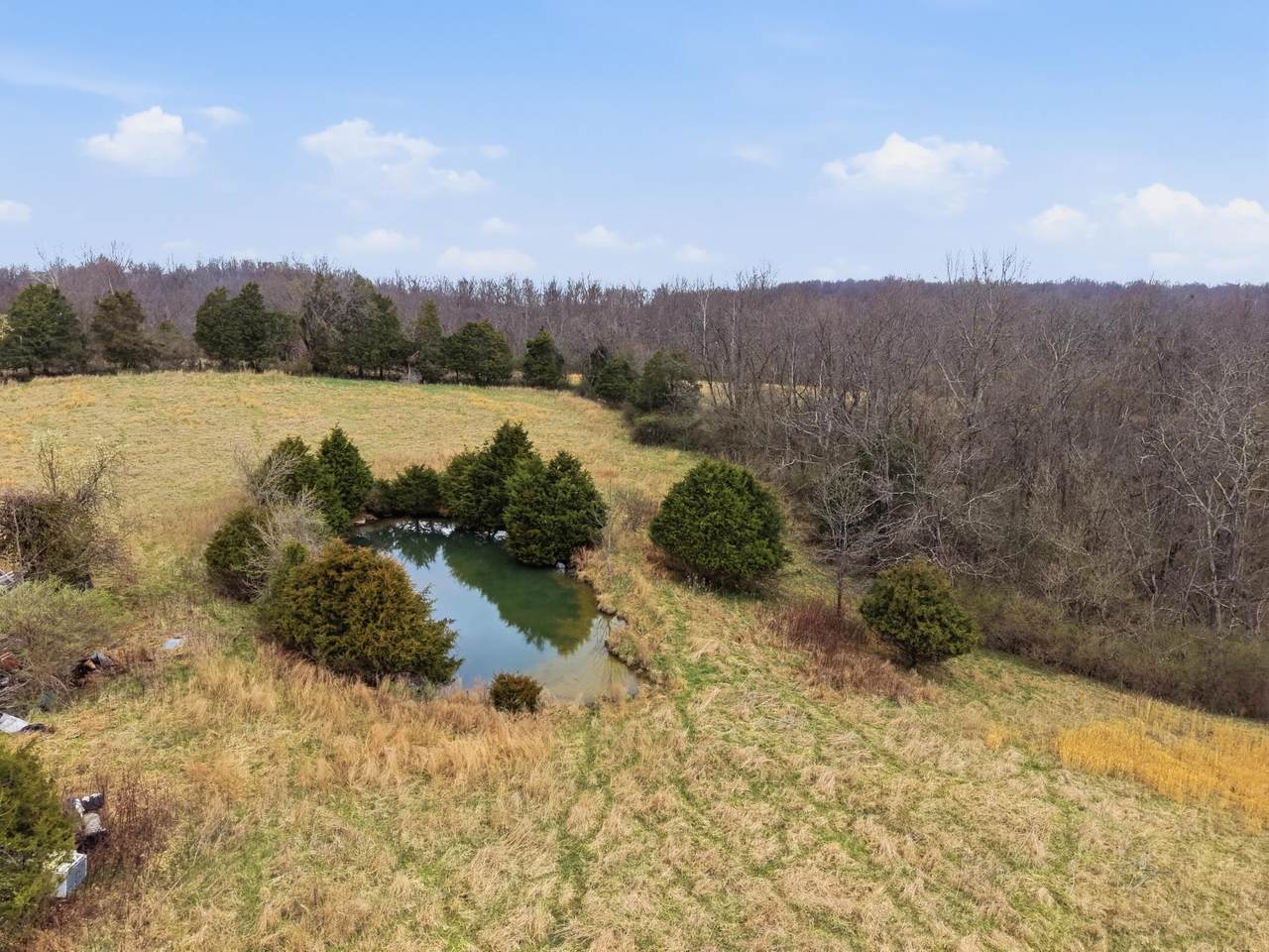 https://bt-photos.global.ssl.fastly.net/lexington/1280_boomver_1_20260310140002455648000000-2.jpg