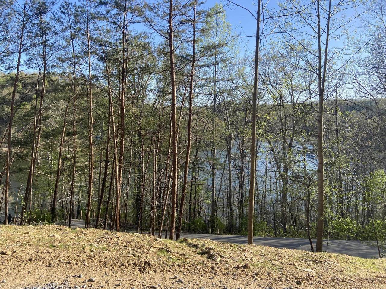 974 Cliffs Edge Road - Photo 1