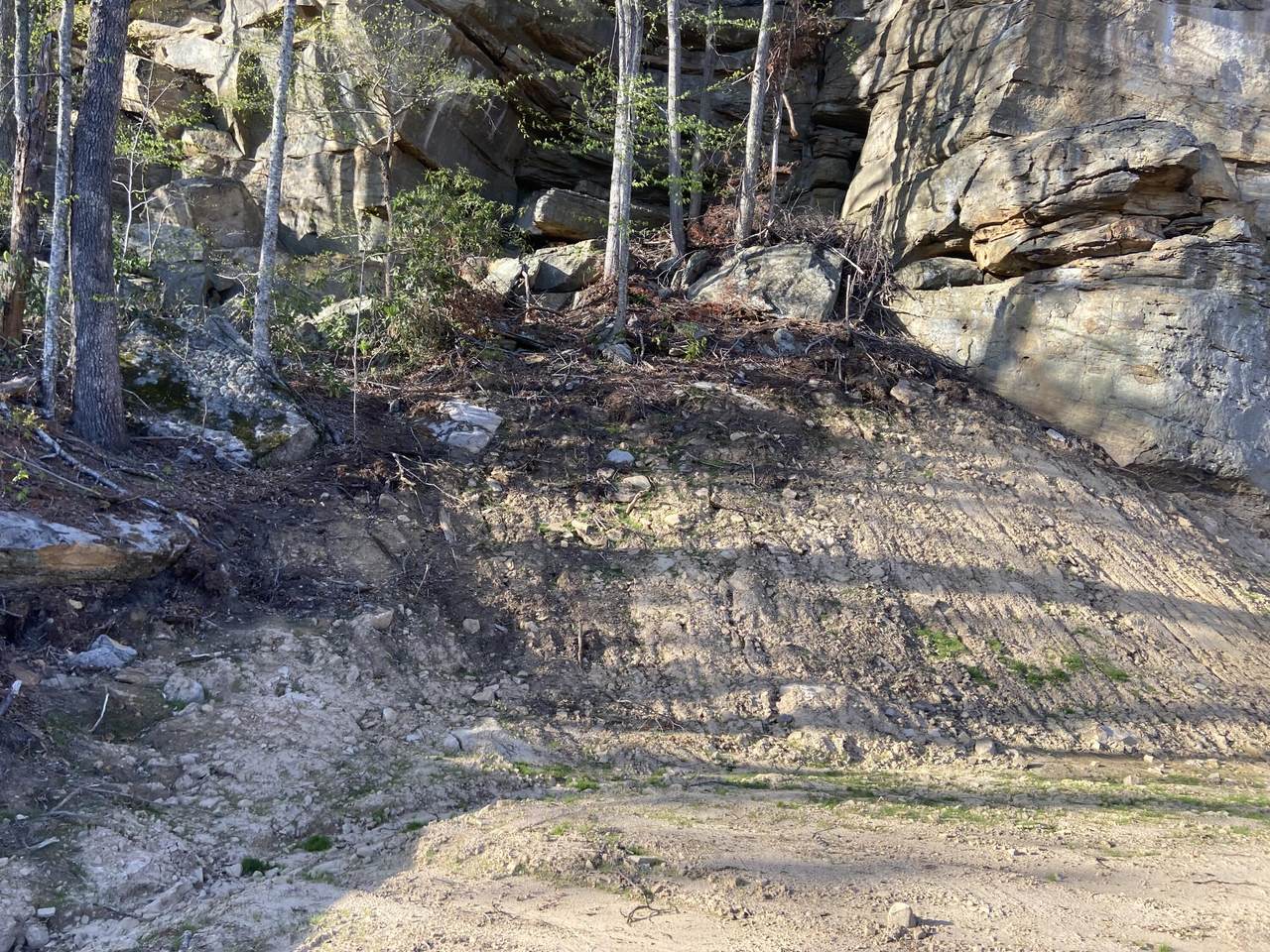 https://bt-photos.global.ssl.fastly.net/lexington/1280_boomver_1_20260311112525536744000000-2.jpg