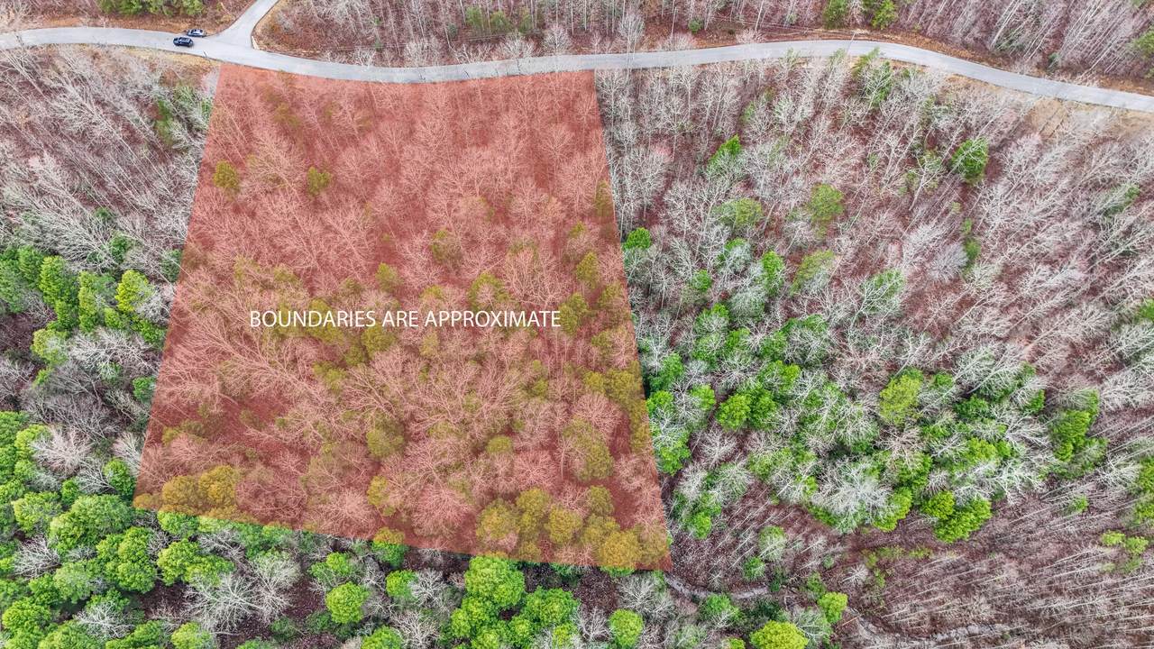 0000 Odin Drive - Photo 1