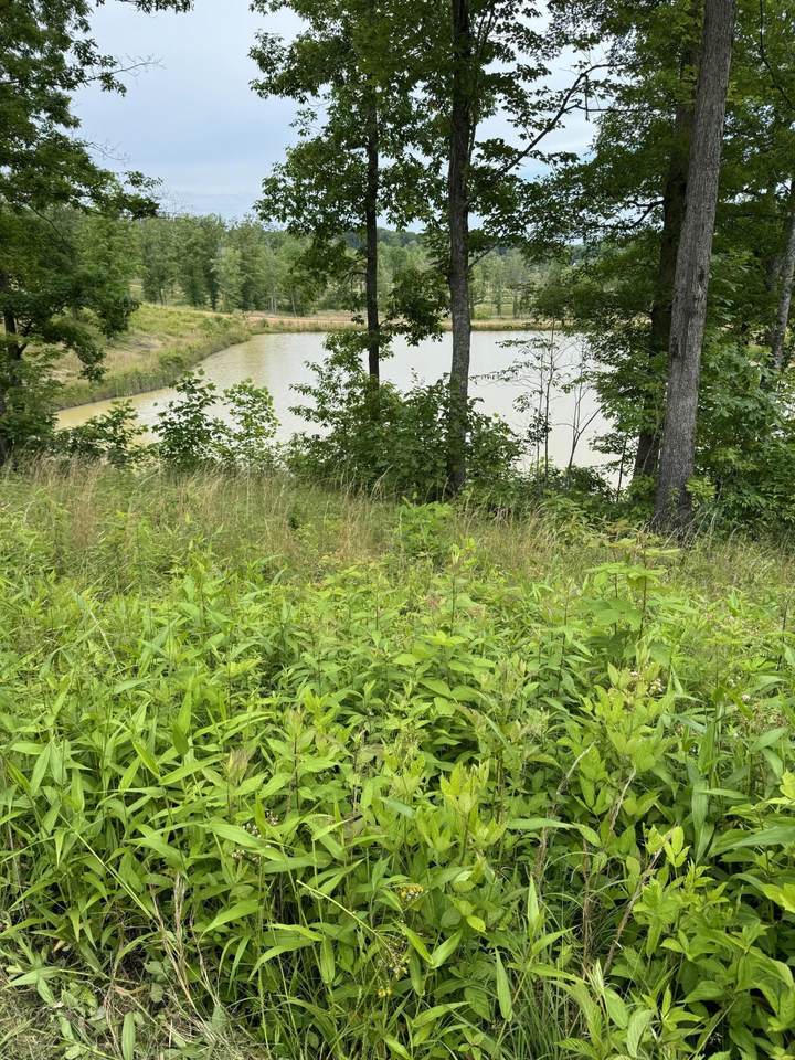 103 Twin Ponds Road - Photo 1