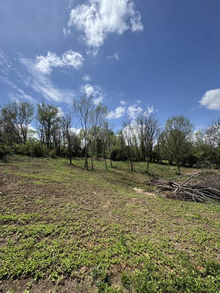 Lot - East Drive - Photo 1