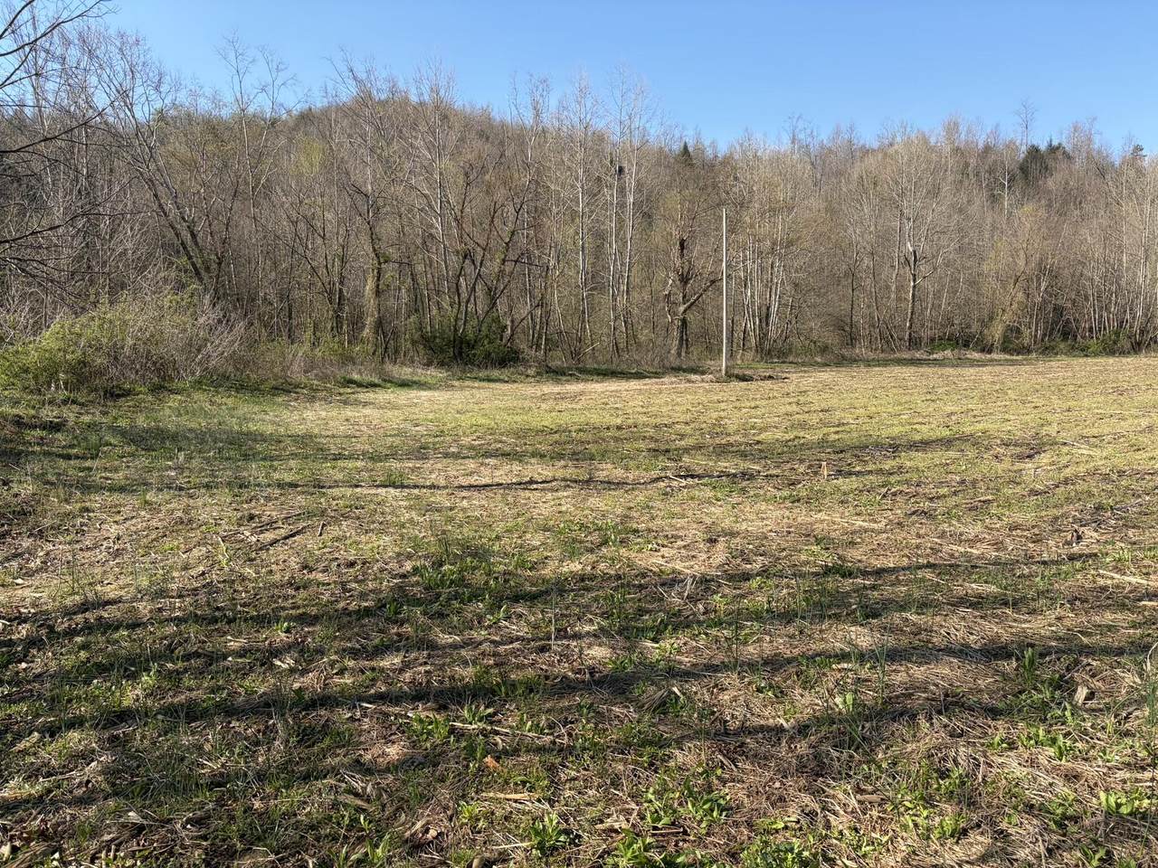 1025 State Highway 589 - Photo 1