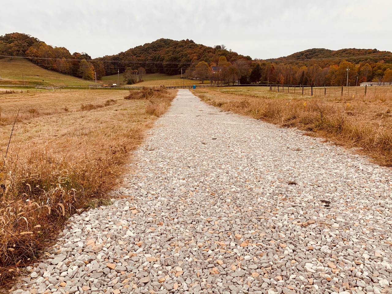 https://bt-photos.global.ssl.fastly.net/lexington/1280_boomver_1_20260318175223425547000000-2.jpg