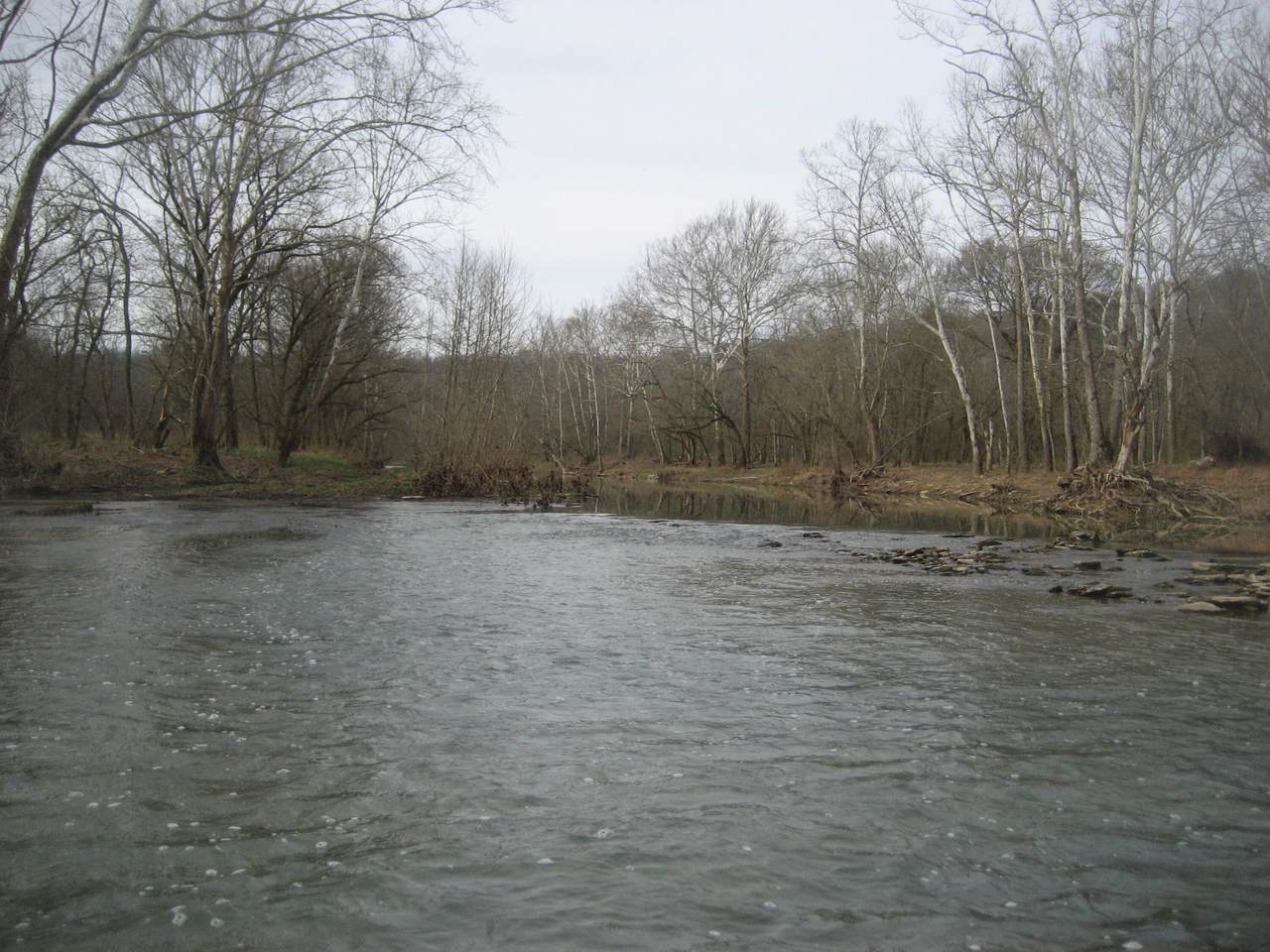 https://bt-photos.global.ssl.fastly.net/lexington/1280_boomver_1_20260322173802331485000000-2.jpg