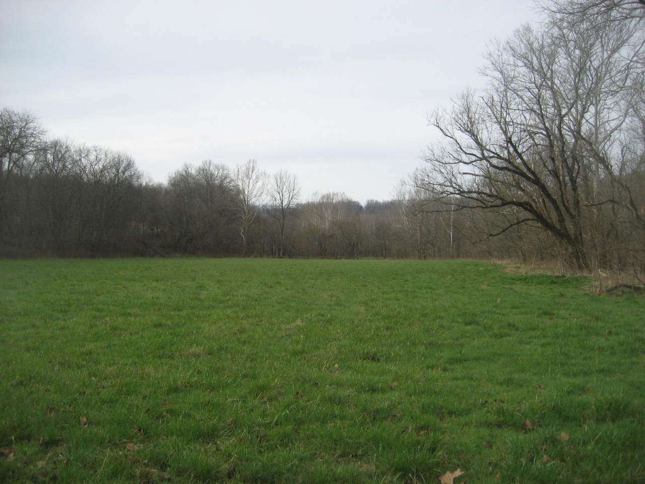 https://bt-photos.global.ssl.fastly.net/lexington/1280_boomver_1_20260322173802331485000000-2.jpg