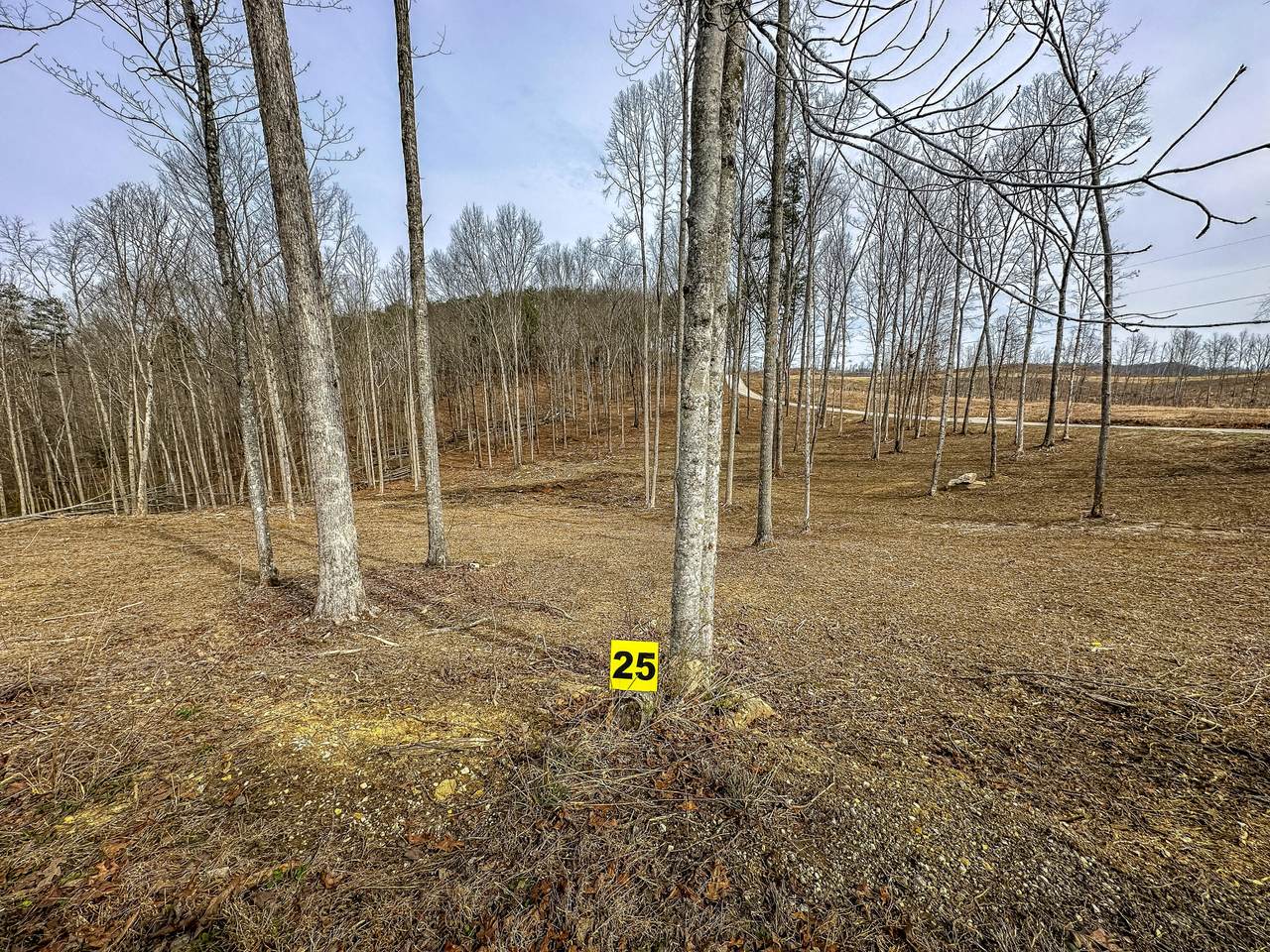 3689 Hazel Patch Road - Photo 1