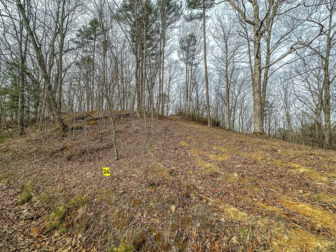 3967 Hazel Patch Road - Photo 1