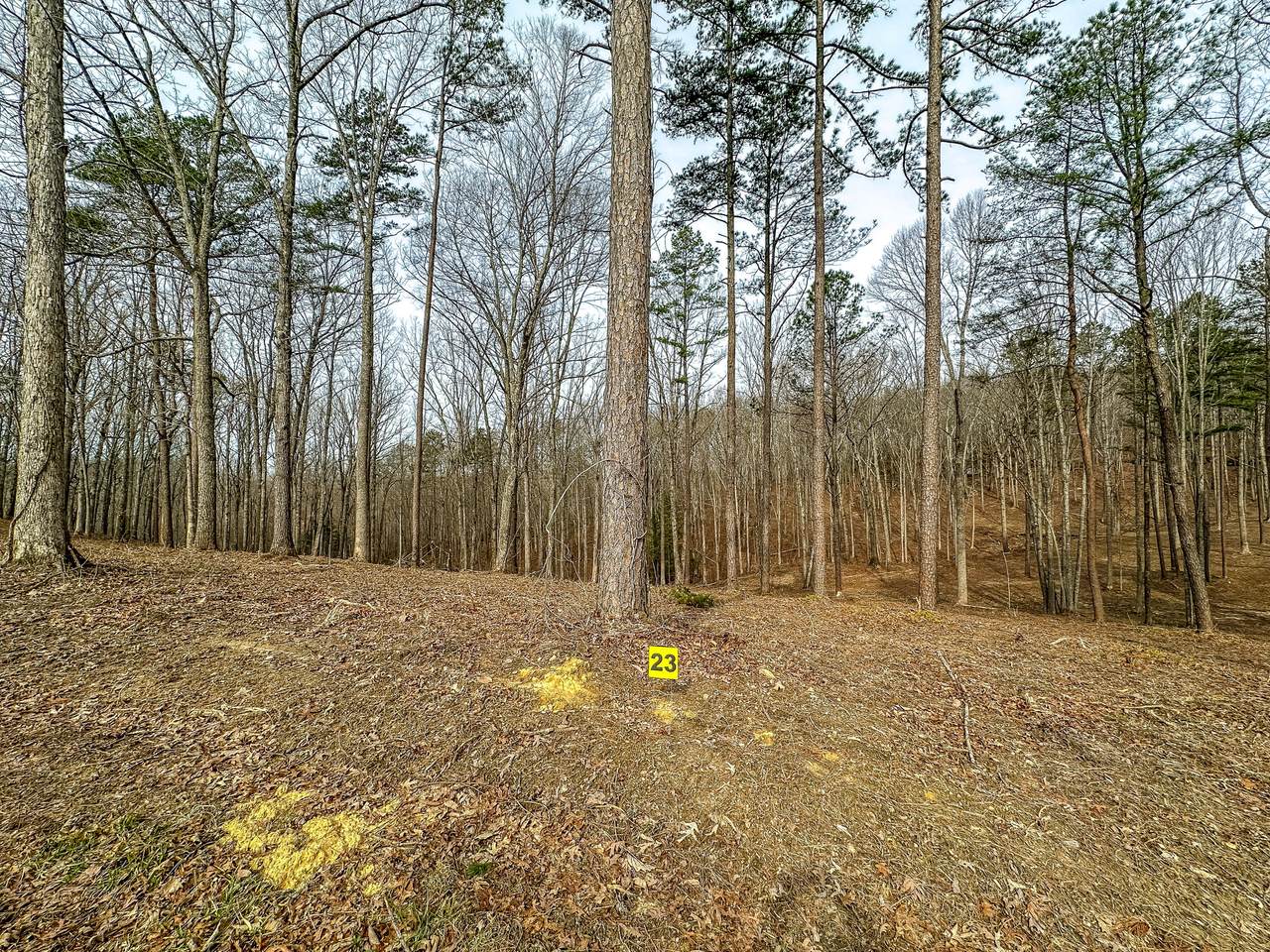 3972 Hazel Patch Road - Photo 1