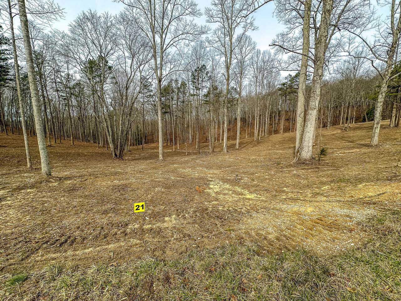 3982 Hazel Patch Road - Photo 1