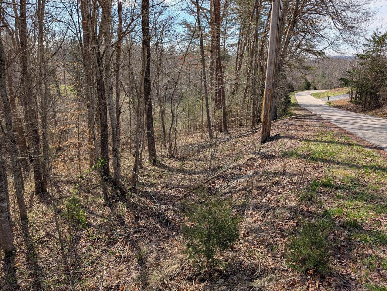https://bt-photos.global.ssl.fastly.net/lexington/1280_boomver_1_20260323132551328894000000-2.jpg